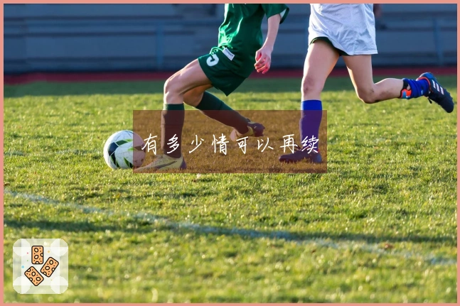 有多少情可以再续